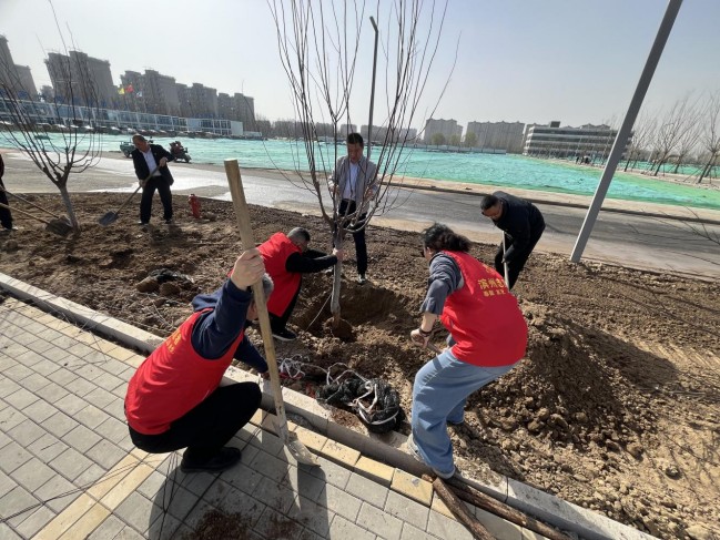 1742887948227071409.jpg 圖片4.jpg